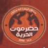 Logo Hadaramaut Maadi