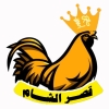 Logo Kasr alshaam Zahra