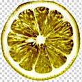Logo Lemona catering