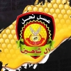 Logo Al Shaheen Honey