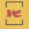 Logo Box Fried Chicken