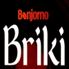 Logo Briki