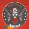 Logo Darb Nar