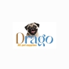 Drago Pet Shop
