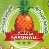 Logo Frish Farghaly