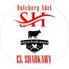 Gezaret Adel Al Sharqawy