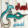 Logo Habashy