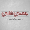 Hamdy Shalaby