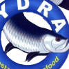 Logo Hedra seafood