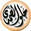 Logo Helw El Samady