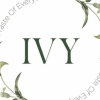 IVY menu