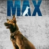 Max pet shop