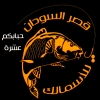 لوجو قصر السودان