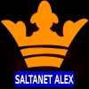 Saltanet  ALEX Logo