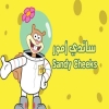 Logo Sandy Hazelnut