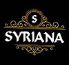 Syriana El Sheikh Zayed menu