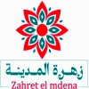 لوجو زهرة المدينه