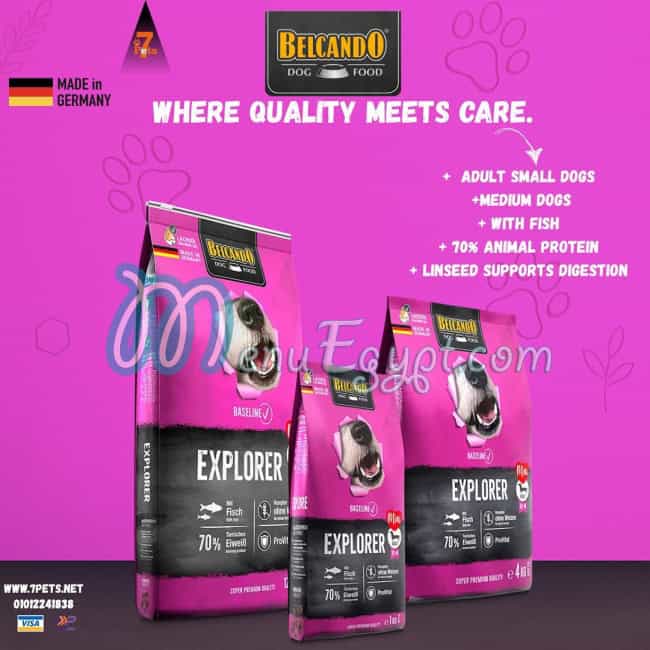 رقم سفن بيتس مصر