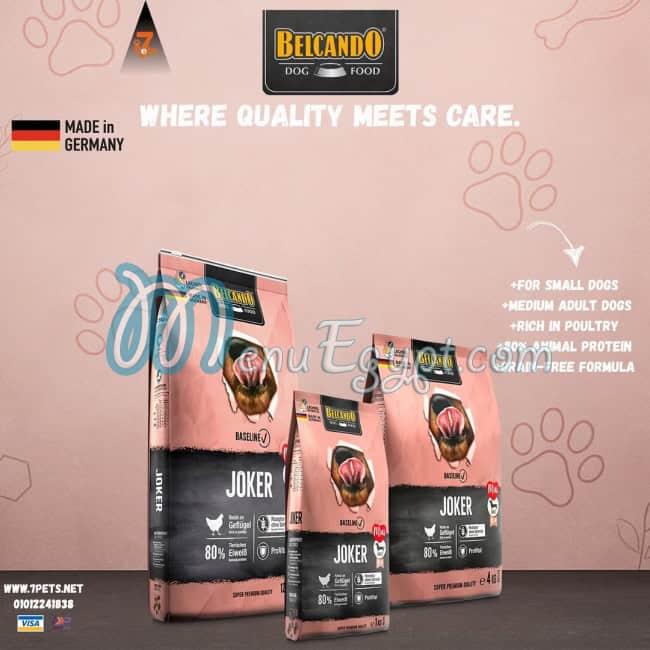 سفن بيتس مصر