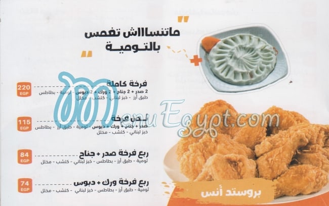 انس الدمشقى مصر