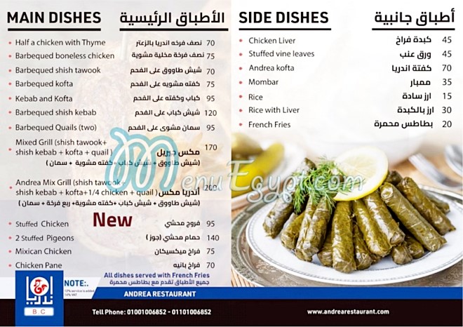 مطعم مطعم اندريا للمشويات بالشيخ زايد مصر