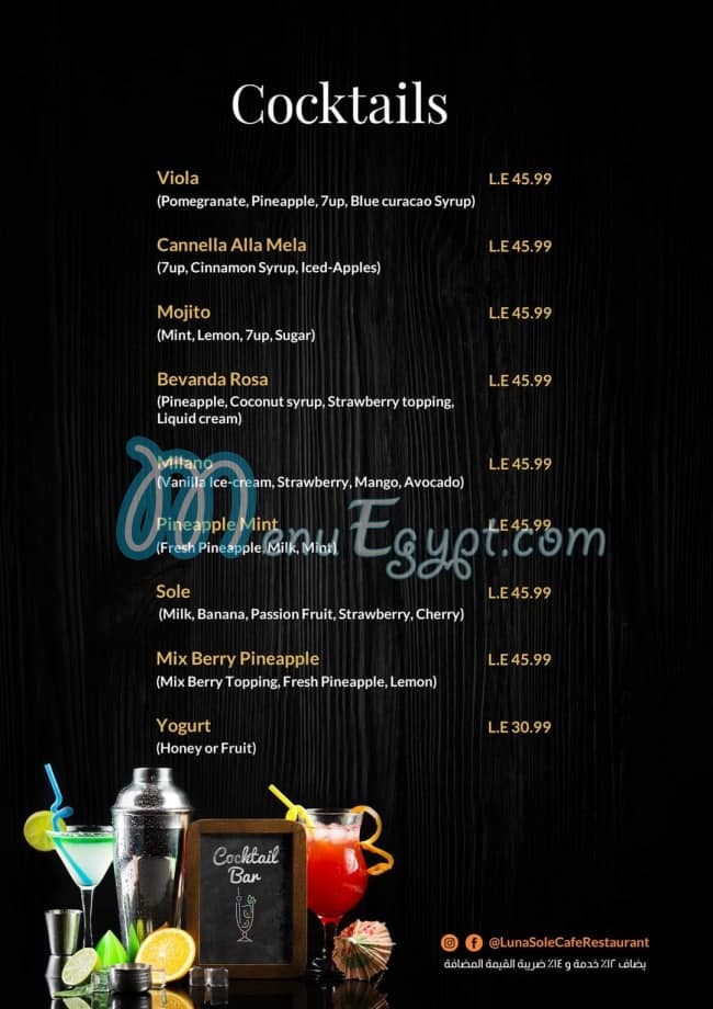 Luna Sole menu Egypt 10