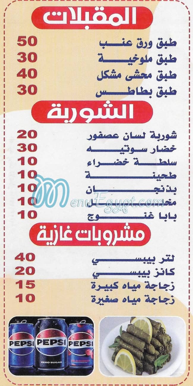 Abo Shehab ElKbabgi egypt