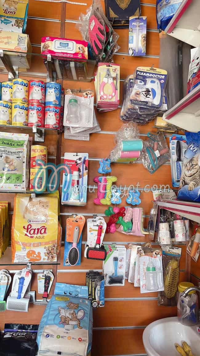 منيو أفريكانو الظاهر مصر