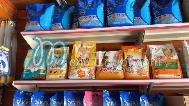 أفريكانو الظاهر مصر منيو بالعربى