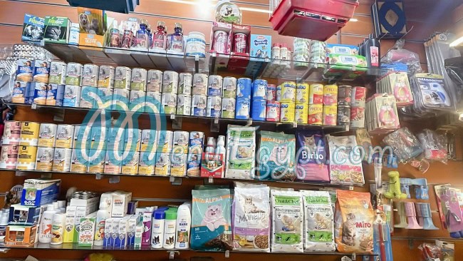 أفريكانو الظاهر مصر الخط الساخن