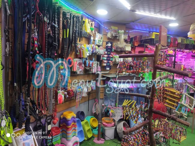 منيو أفريكانو جسر السويس