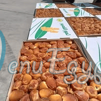 البستان مصر منيو بالعربى