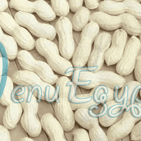 منيو الخير والبركه