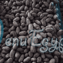 مطعم الخير والبركه مصر