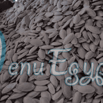 الخير والبركه مصر الخط الساخن