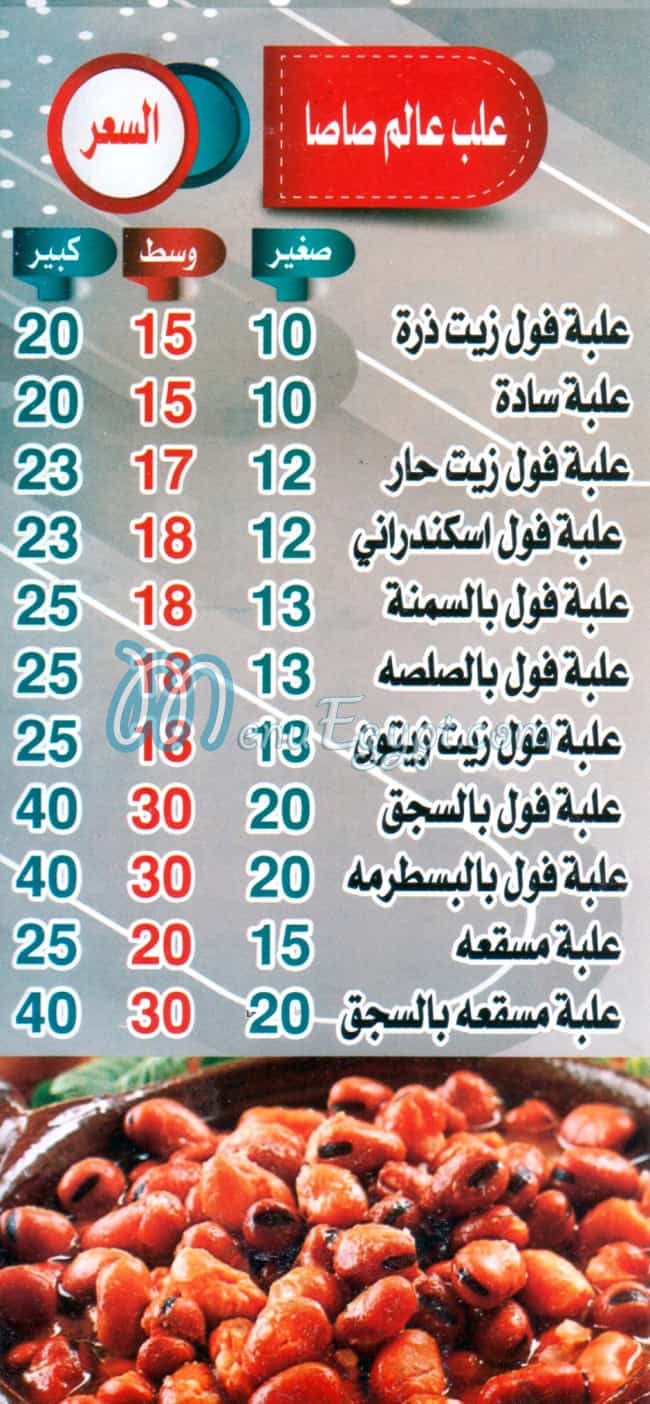عالم صاصا مصر الخط الساخن