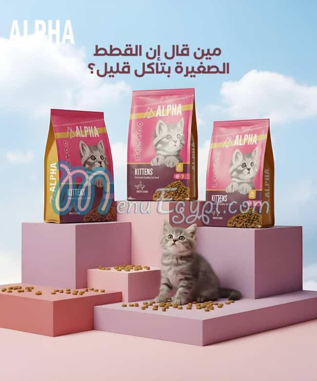 ألفا مصر الخط الساخن