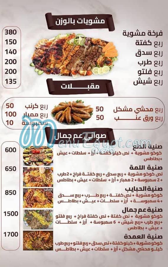 Am gamal egypt