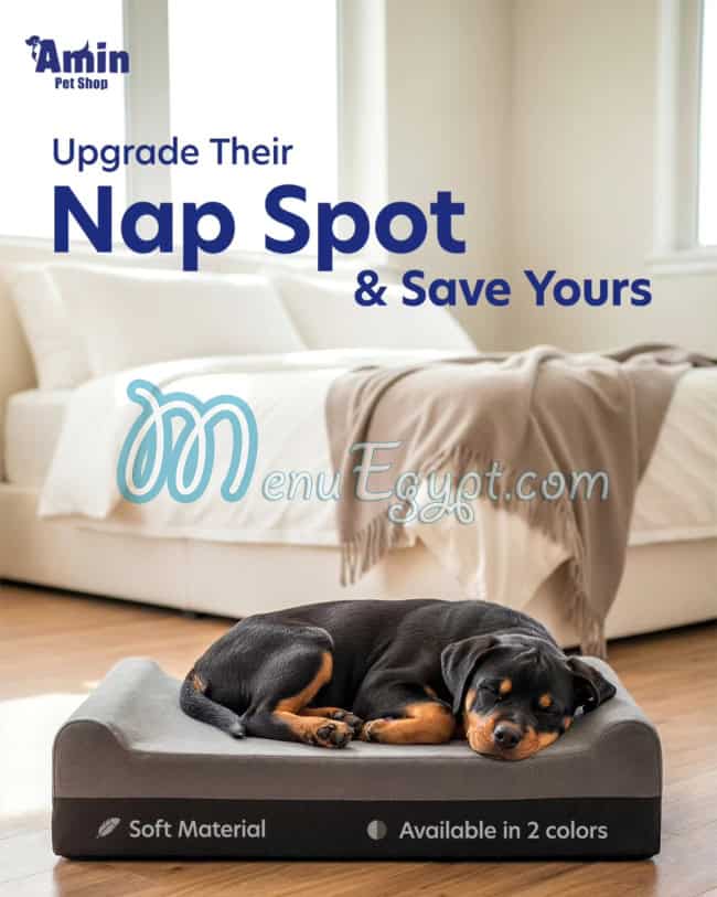 مطعم أمين بيت شوب مصر