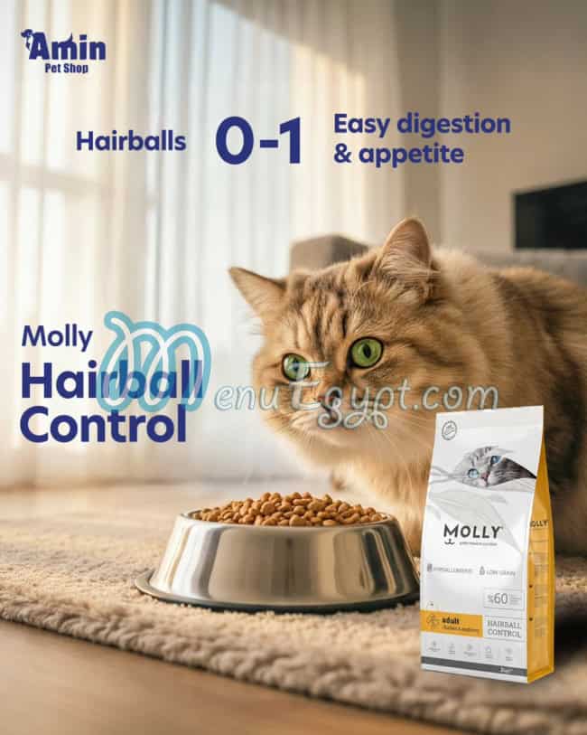 أمين بيت شوب مصر الخط الساخن