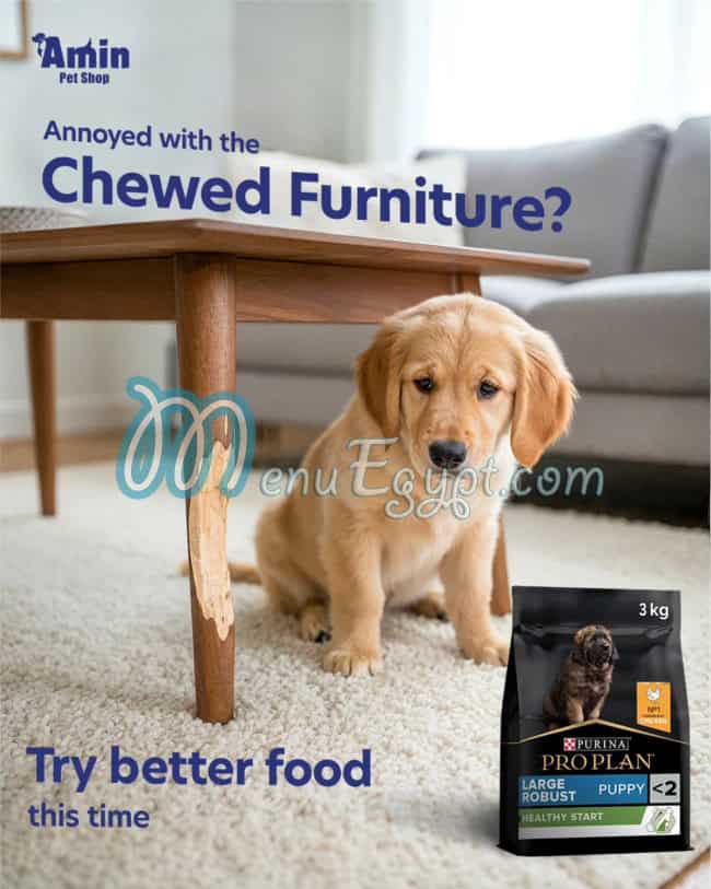 رقم أمين بيت شوب مصر