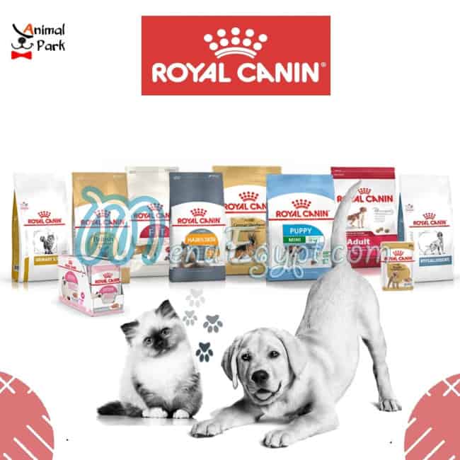 Animal Park delivery