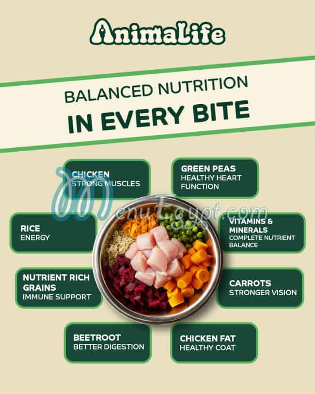 أنيمالايف مصر الخط الساخن