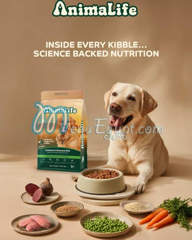 أنيمالايف مصر