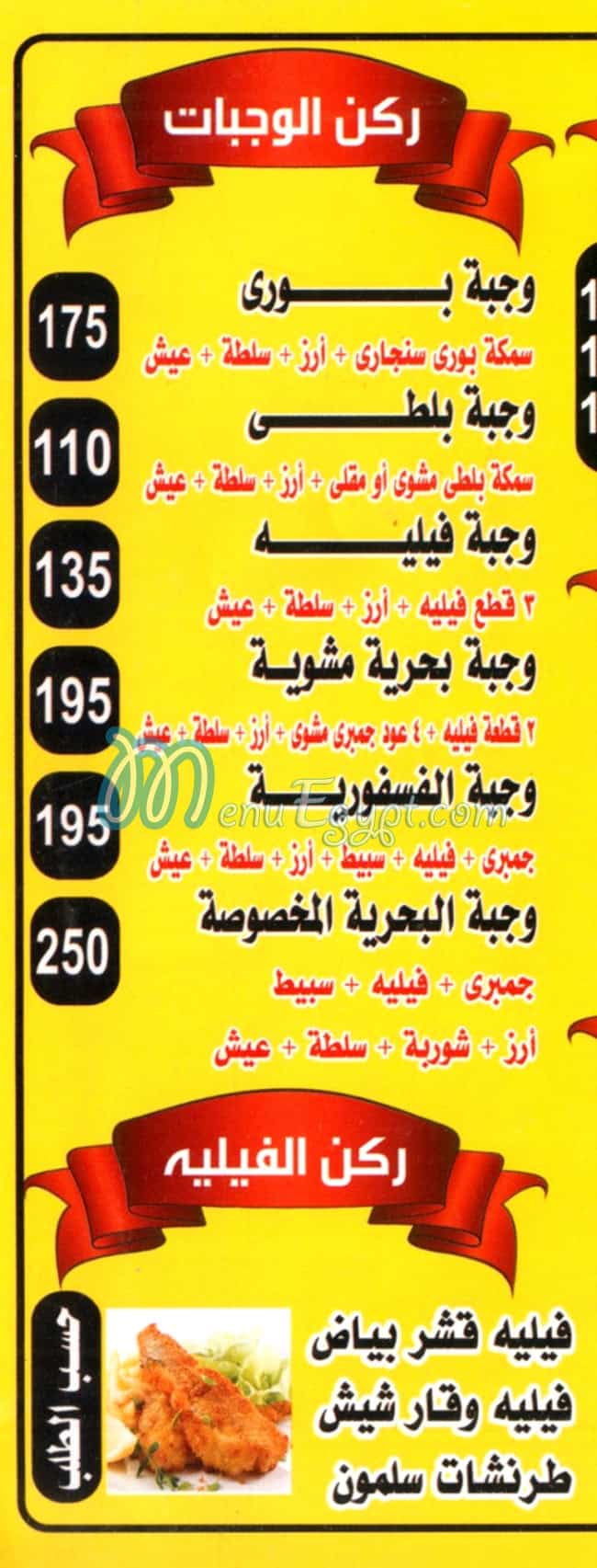 اسماك البحرية مصر الخط الساخن