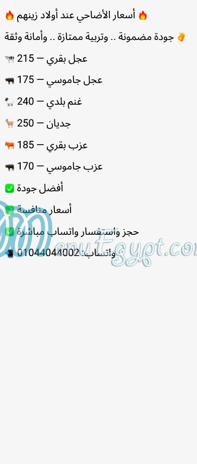 مطعم اولاد الحاج زينهم مصر