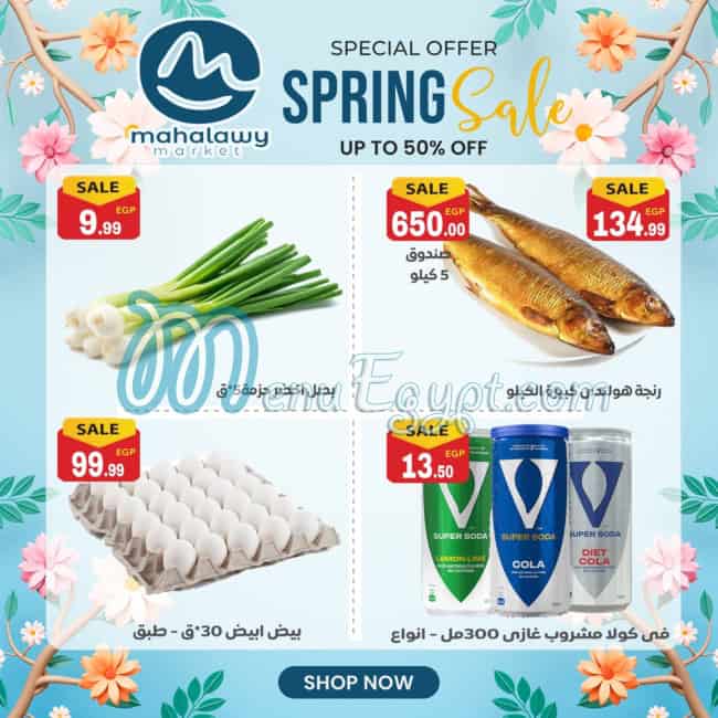 منيو اولاد المحلاوي