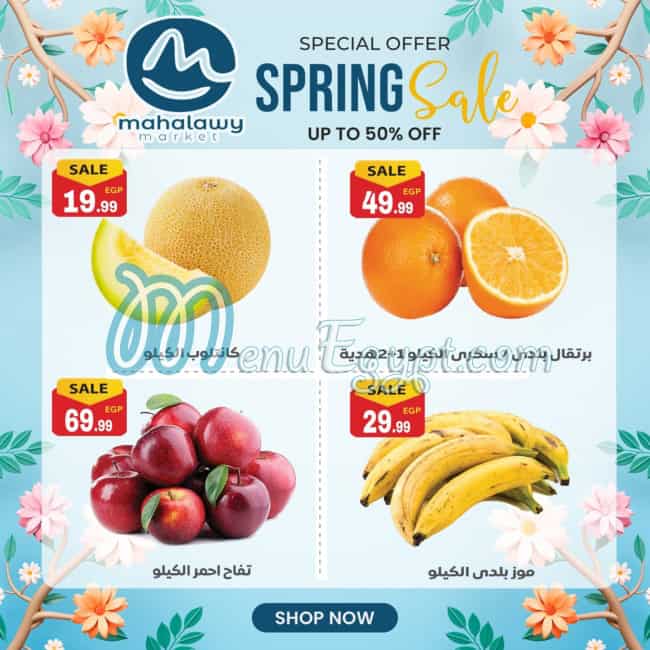 Awlad Al Mahlawy menu Egypt 3