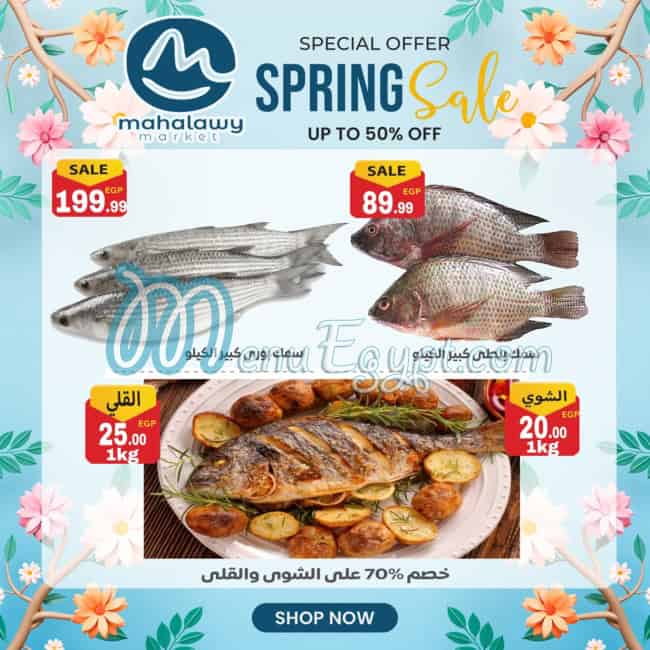 Awlad Al Mahlawy menu Egypt