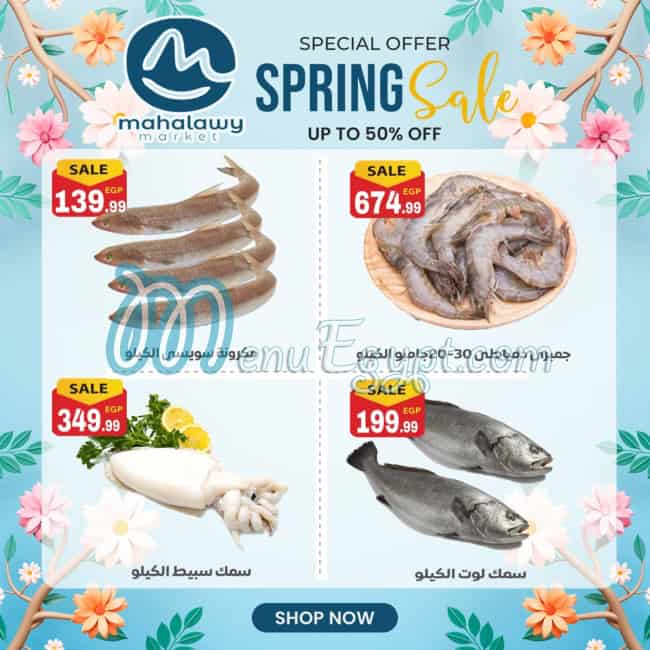 Awlad Al Mahlawy egypt